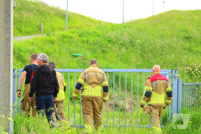 Brandweer ingezet voor schaap