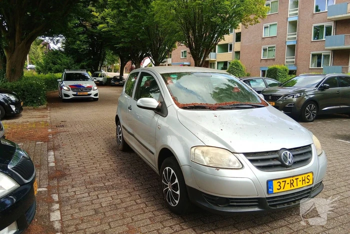 Politie vindt gestolen auto