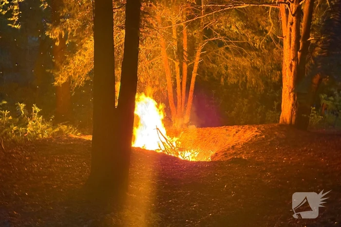 Brandweer ingezet voor bosbrand