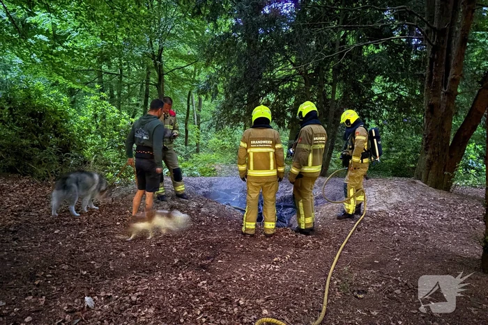 Brandweer ingezet voor bosbrand