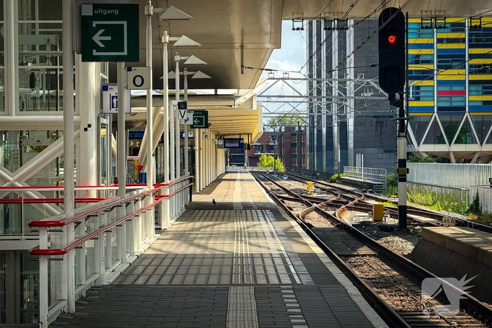 Landelijke NS staking zorgt voor gestrande reizigers en toeristen