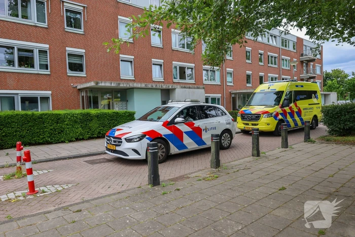 Steekincident leidt tot lichtgewonde