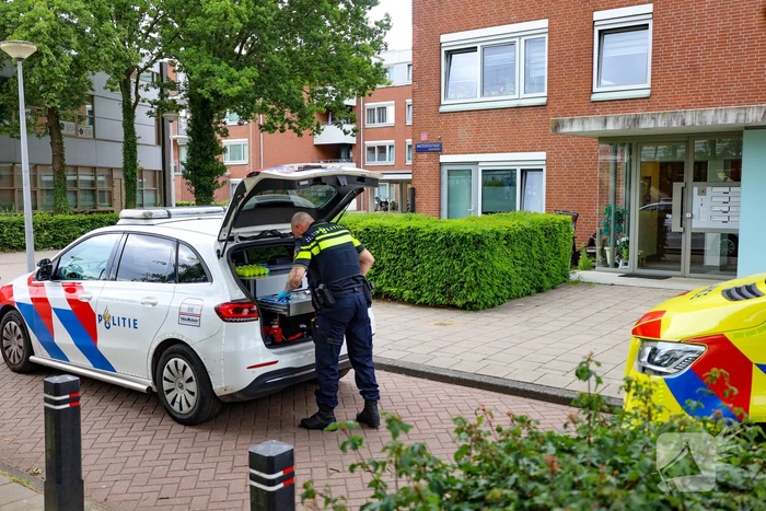 Steekincident leidt tot lichtgewonde