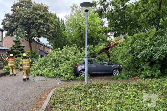 Wederom valt boom op auto