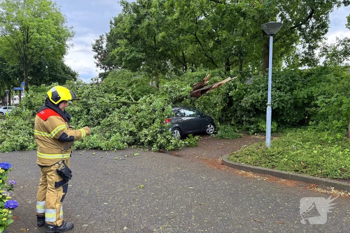 Wederom valt boom op auto