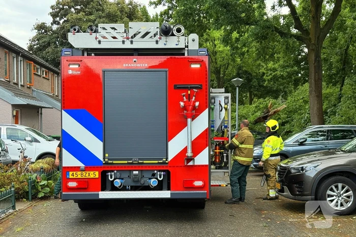 Wederom valt boom op auto