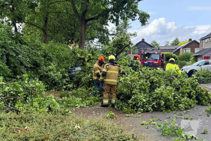 Wederom valt boom op auto