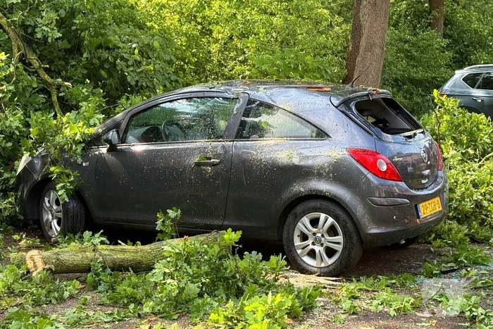 Wederom valt boom op auto