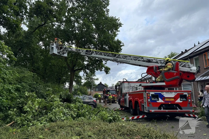 Wederom valt boom op auto