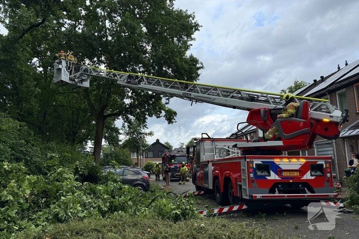 Wederom valt boom op auto