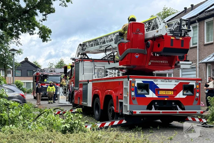 Wederom valt boom op auto