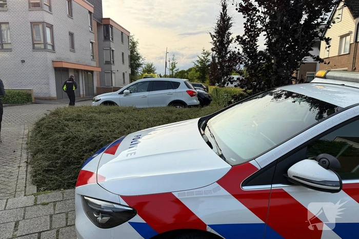 Auto vliegt uit de bocht na inhaalmanoeuvre
