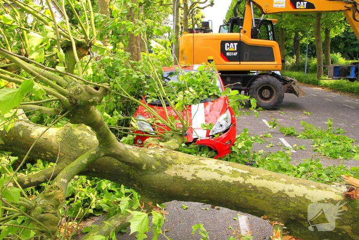 Auto beschadigd door omgevallen boom
