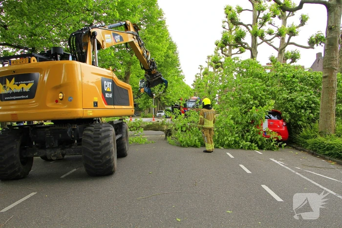 Auto beschadigd door omgevallen boom
