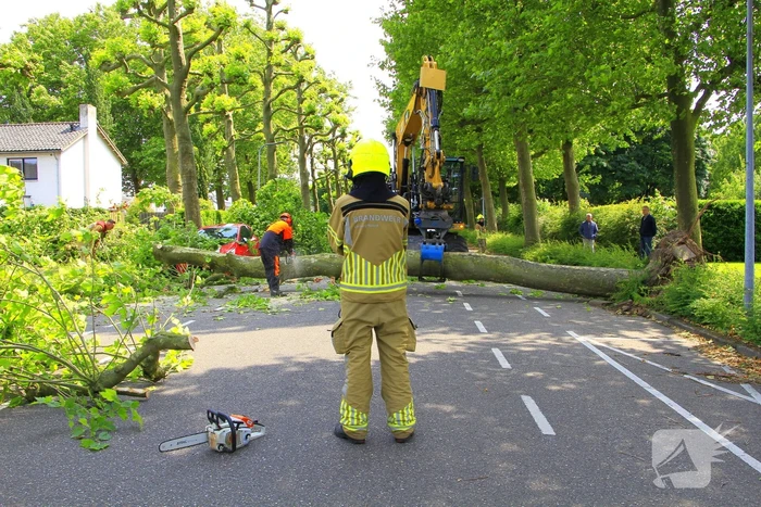 Auto beschadigd door omgevallen boom