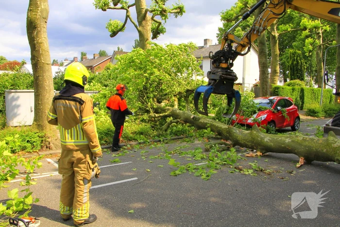 Auto beschadigd door omgevallen boom