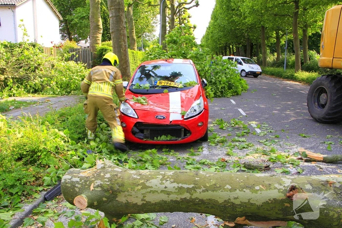 Auto beschadigd door omgevallen boom