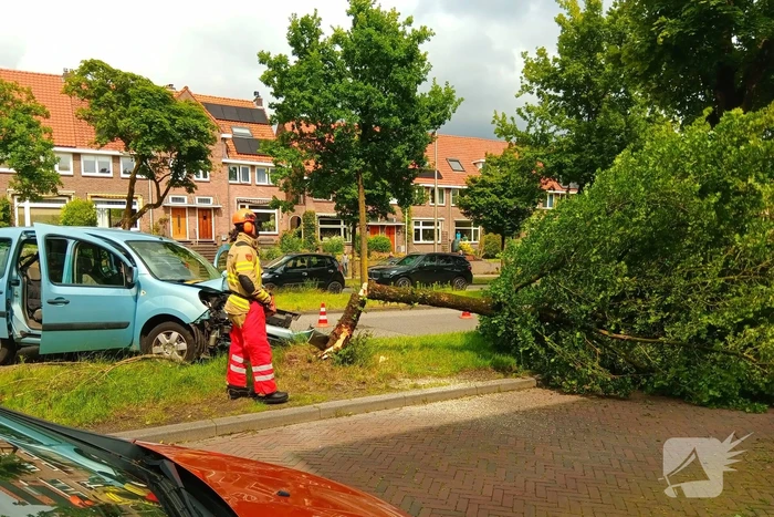 Bestelauto botst frontaal op boom