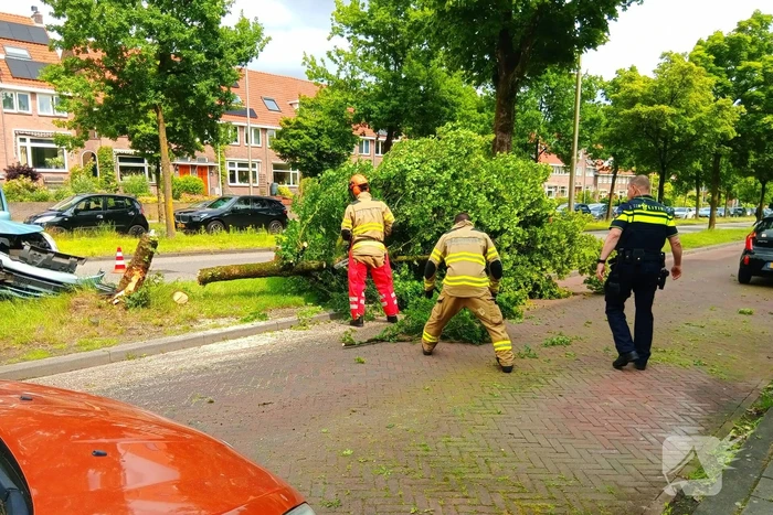 Bestelauto botst frontaal op boom