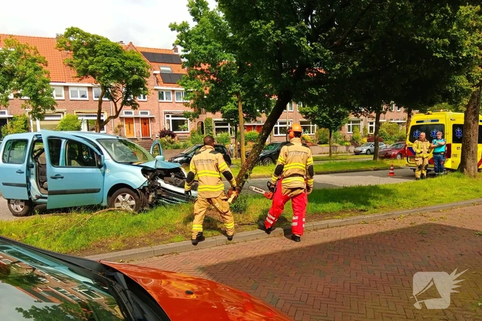 Bestelauto botst frontaal op boom