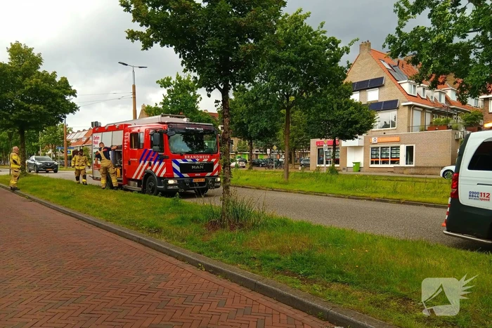 Bestelauto botst frontaal op boom