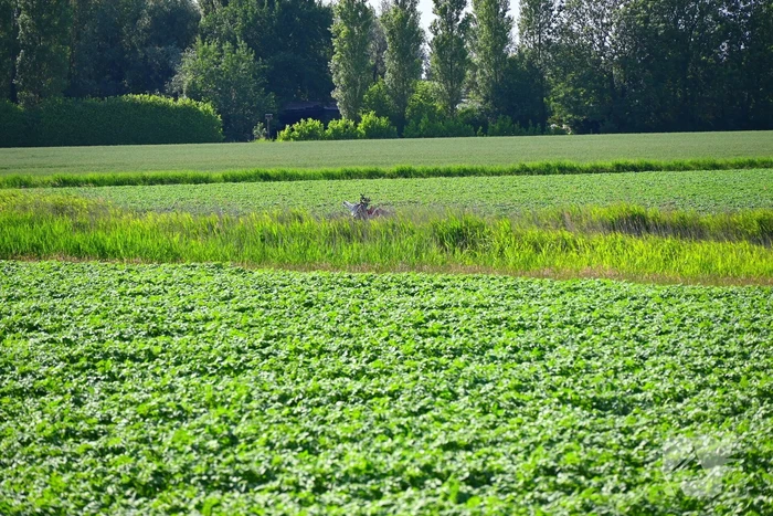 Minirooimachine belandt in vaart