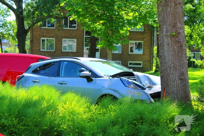 Auto botst tegen boom