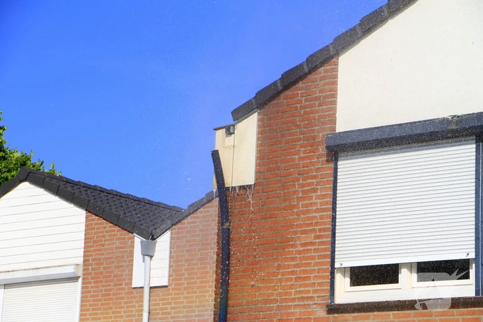 Buitenbrand verwoest coniferenhaag