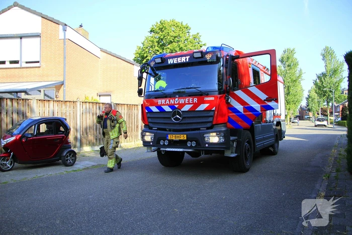 Buitenbrand verwoest coniferenhaag