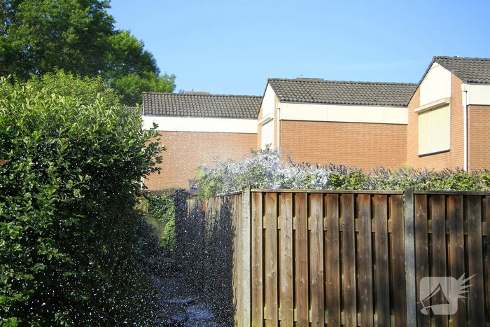 Buitenbrand verwoest coniferenhaag