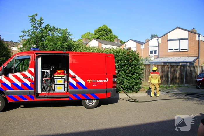Buitenbrand verwoest coniferenhaag