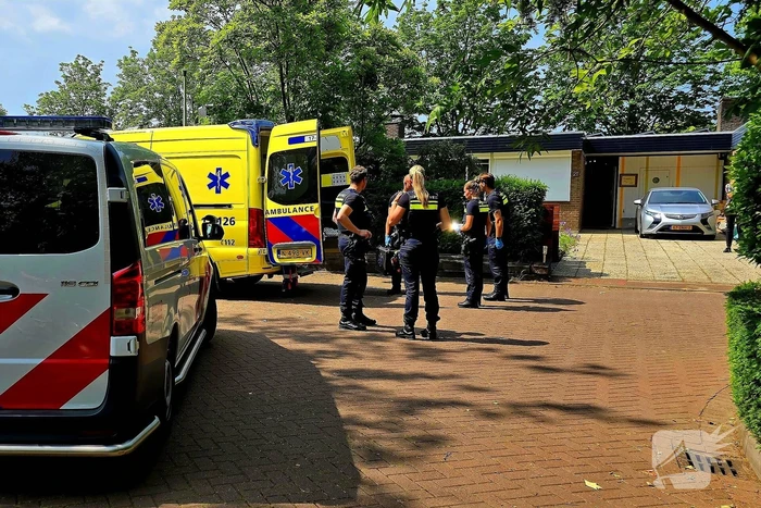 nieuws willem alexanderlaan poortugaal