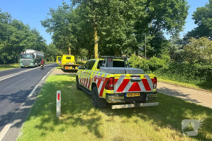 Shetland pony wordt slachtoffer van ongeval op drukke weg