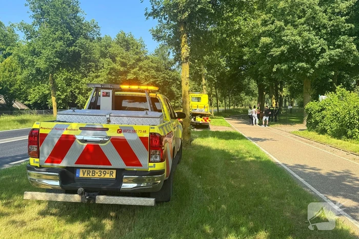 Shetland pony wordt slachtoffer van ongeval op drukke weg