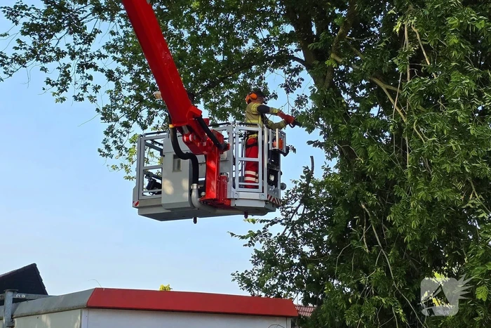 Brandweer verwijdert gevaarlijke hangende tak