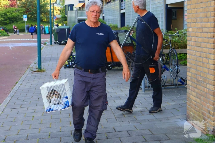 Uitslaande brand leidt tot gewonde