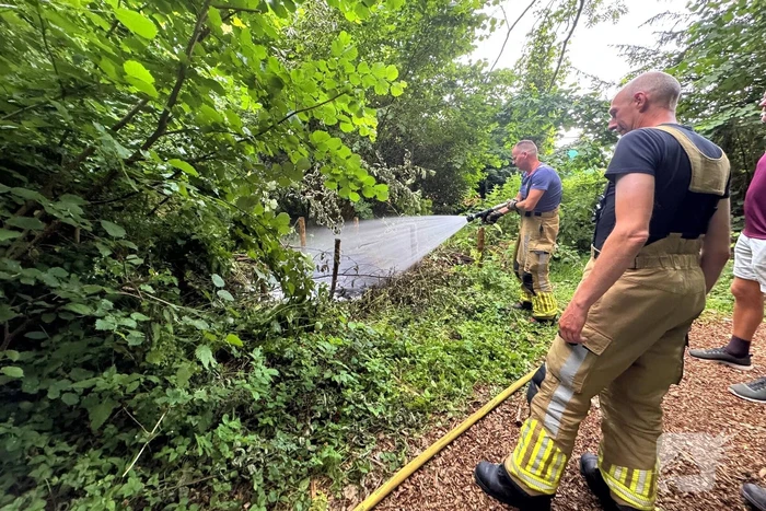 Passanten blussen brand in bosschages