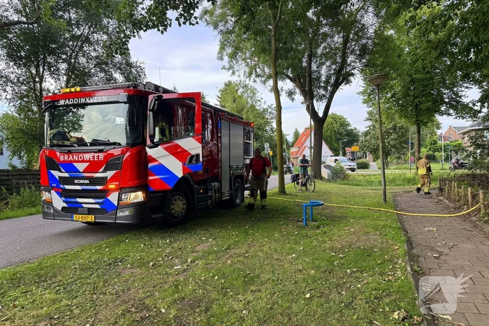 Passanten blussen brand in bosschages