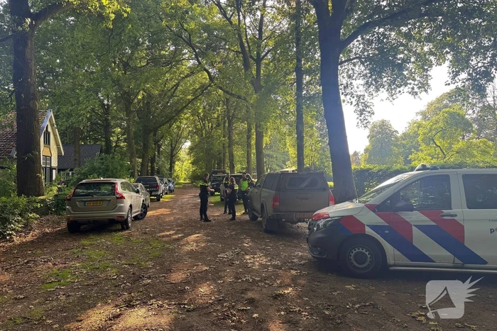 Vermiste 74-jarige teruggevonden in bos