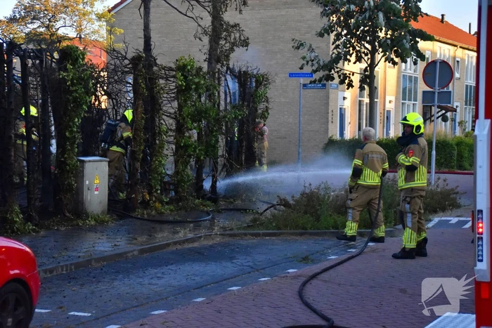 Rookontwikkeling bij brand in bosschages