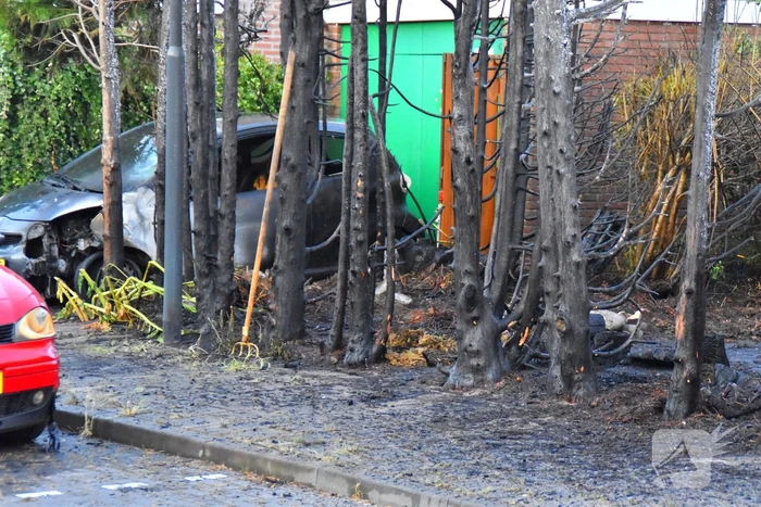 Rookontwikkeling bij brand in bosschages