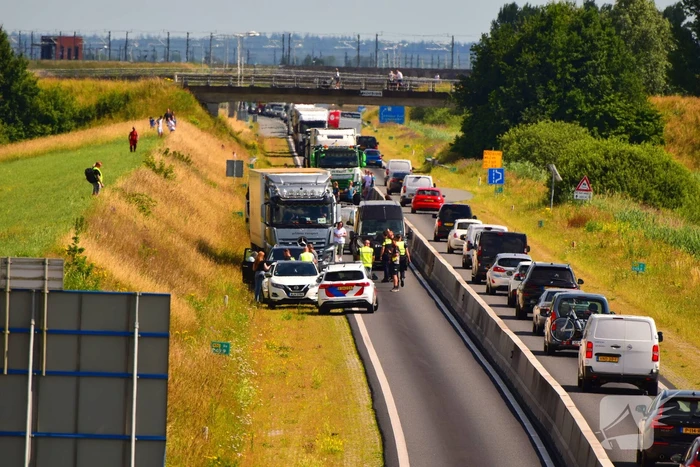 Kop-staartbotsing met Bestelbussen