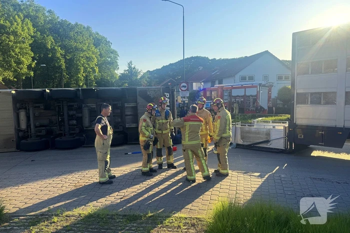 Vrachtwagen met varkens kantelt en blokkeert weg