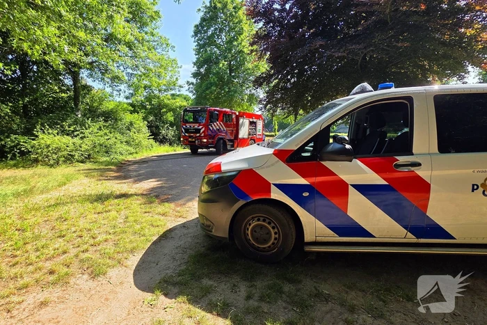 Brand in bosschage snel onder controle