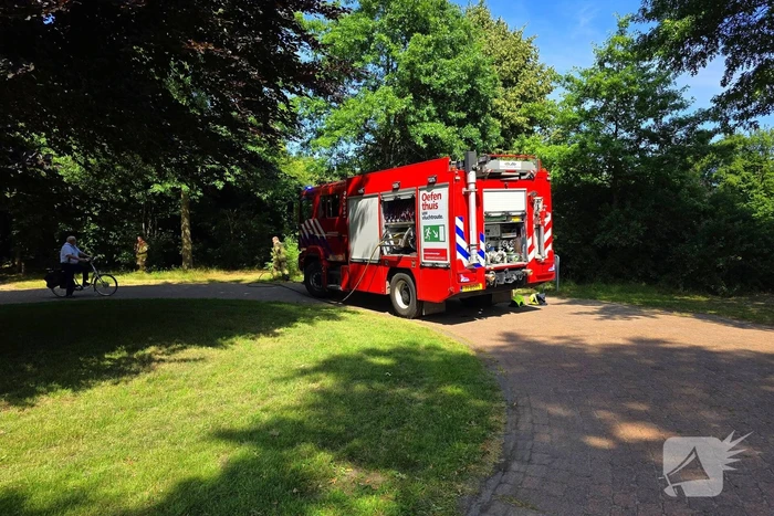 Brand in bosschage snel onder controle