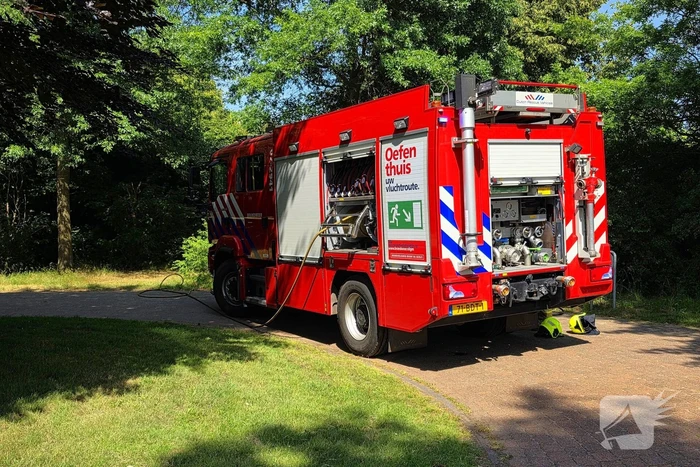 Brand in bosschage snel onder controle