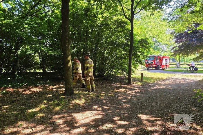 Brand in bosschage snel onder controle
