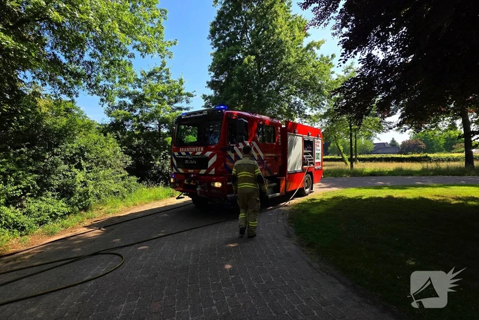 Brand in bosschage snel onder controle