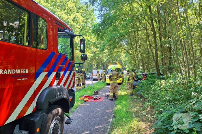 Auto belandt in bosschages
