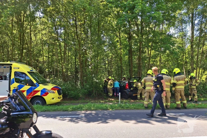 Auto belandt in bosschages